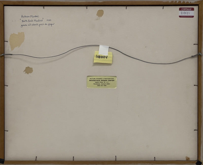 Antonia Munroe - North Road Meadow