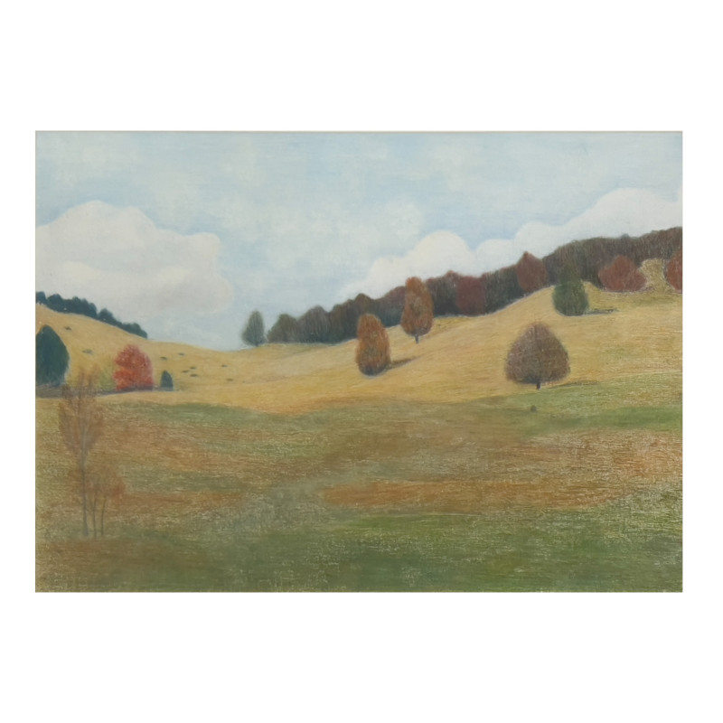 Antonia Munroe - North Road Meadow