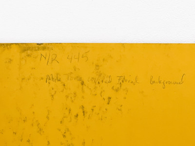 Lowell Nesbitt - Male Torso with Red Floral Background