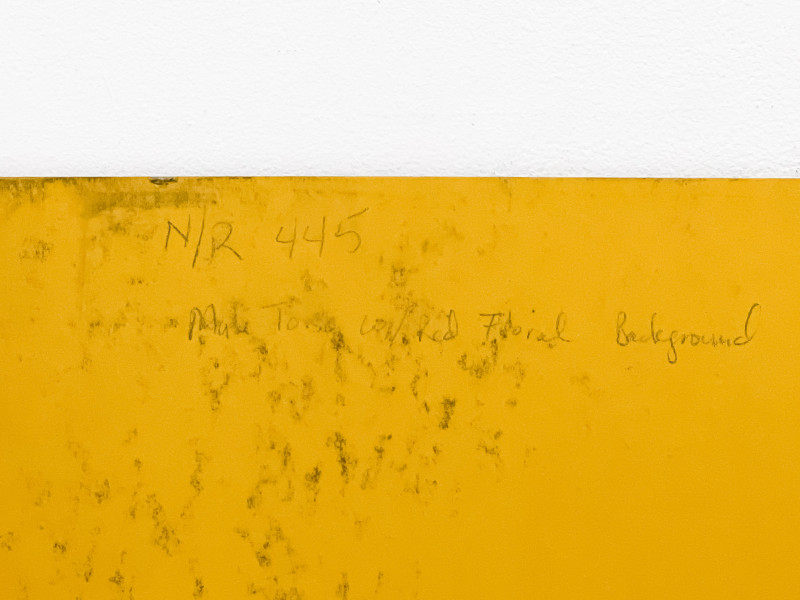 Lowell Nesbitt - Male Torso with Red Floral Background