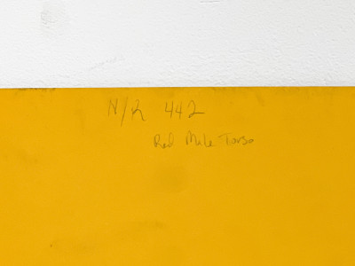 Lowell Nesbitt - Red Male Torso