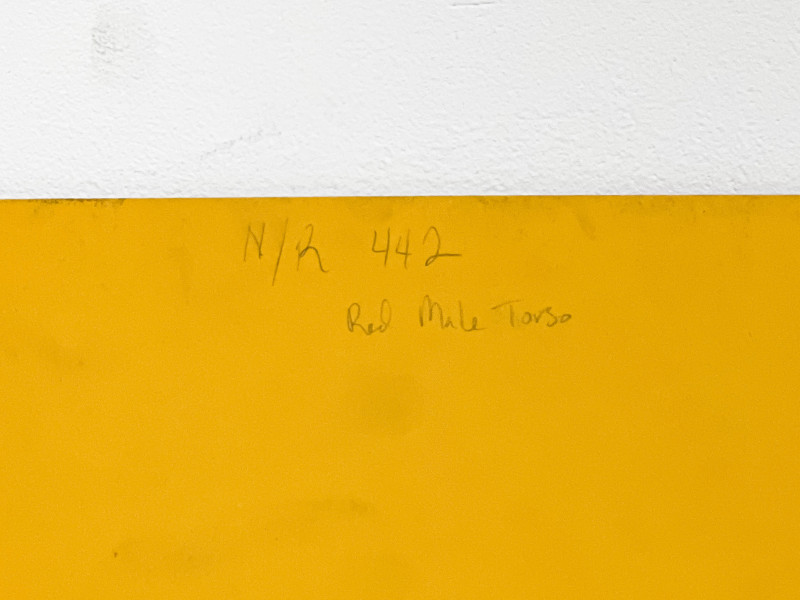 Lowell Nesbitt - Red Male Torso