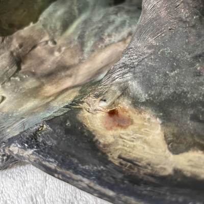 Unknown Artist - Untitled (Silver Bust)