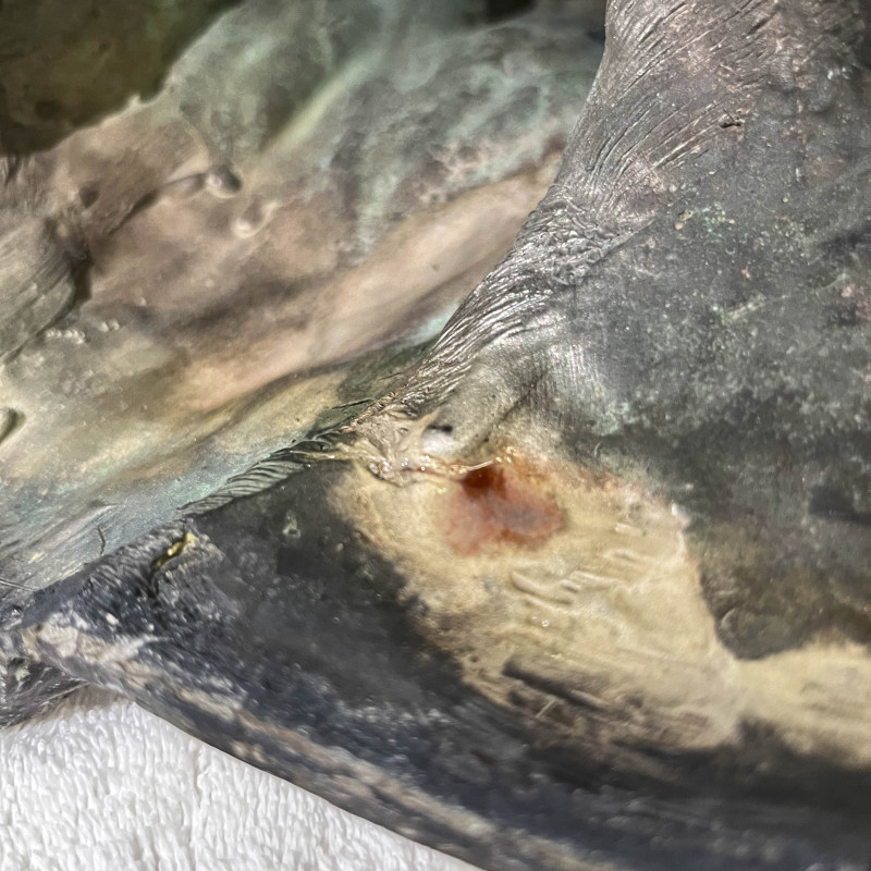 Unknown Artist - Untitled (Silver Bust)