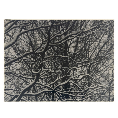 Image for Lot Ralph Steiner - Untitled (Branches in the Snow)