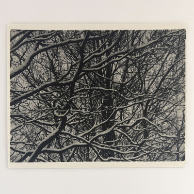 Ralph Steiner - Untitled (Branches in the Snow)