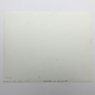 Ralph Steiner - Untitled (Branches in the Snow)