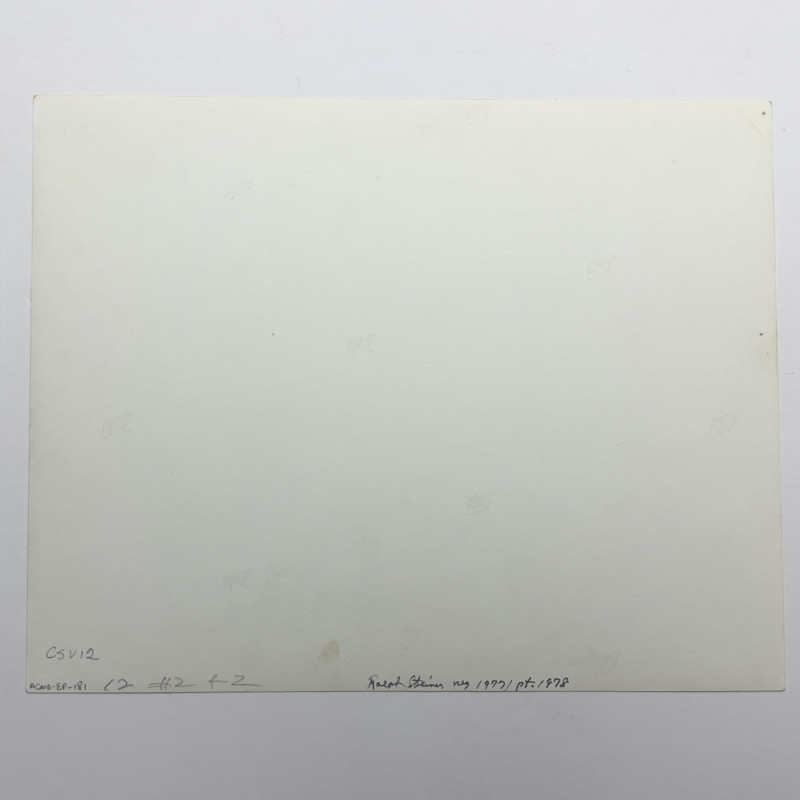 Ralph Steiner - Untitled (Branches in the Snow)