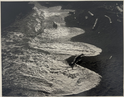 Image for Lot Ralph Steiner - Untitled (Shoreline)