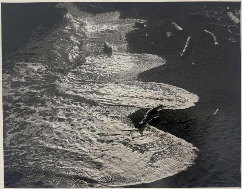 Ralph Steiner - Untitled (Shoreline)