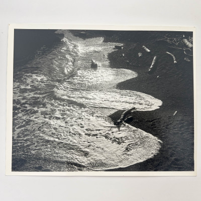 Ralph Steiner - Untitled (Shoreline)