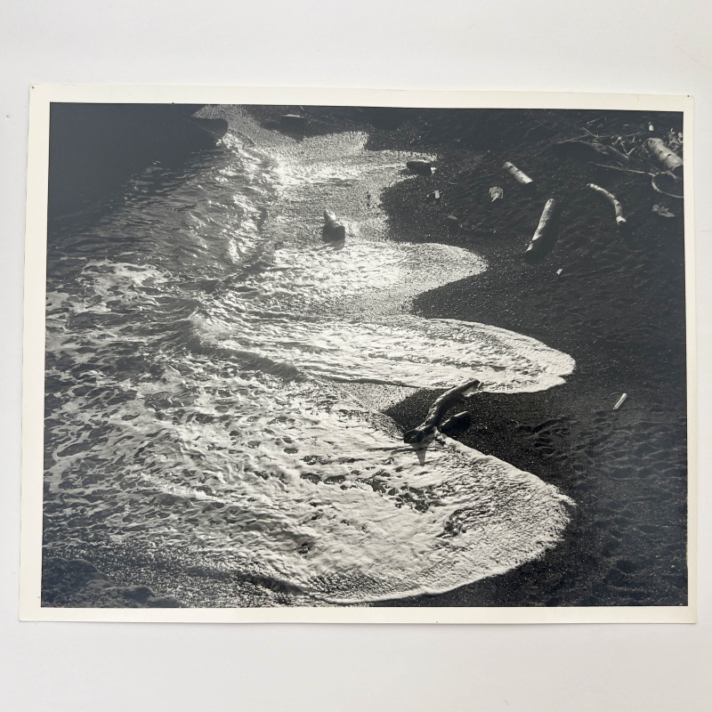 Ralph Steiner - Untitled (Shoreline)