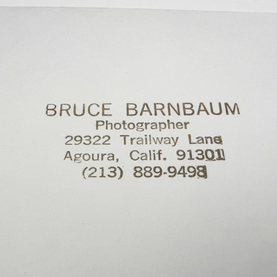 Bruce Barnbaum - Fallen Sequoias