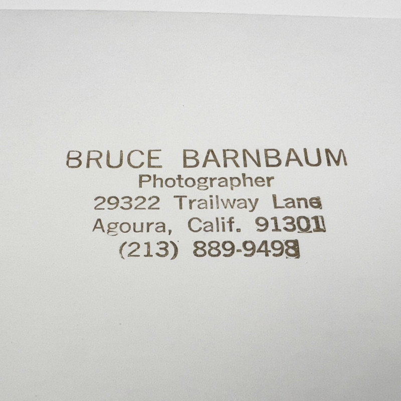 Bruce Barnbaum - Fallen Sequoias