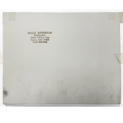 Bruce Barnbaum - Fallen Sequoias