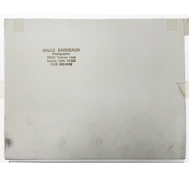 Bruce Barnbaum - Fallen Sequoias