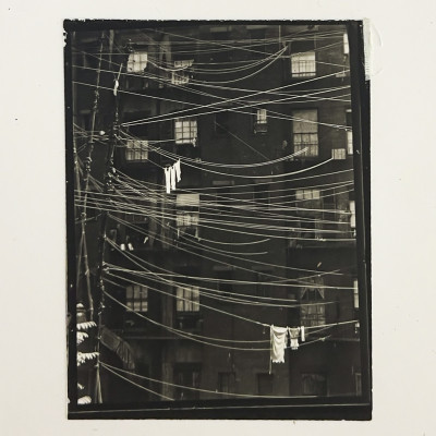 Image for Lot Ralph Steiner - Clothesline