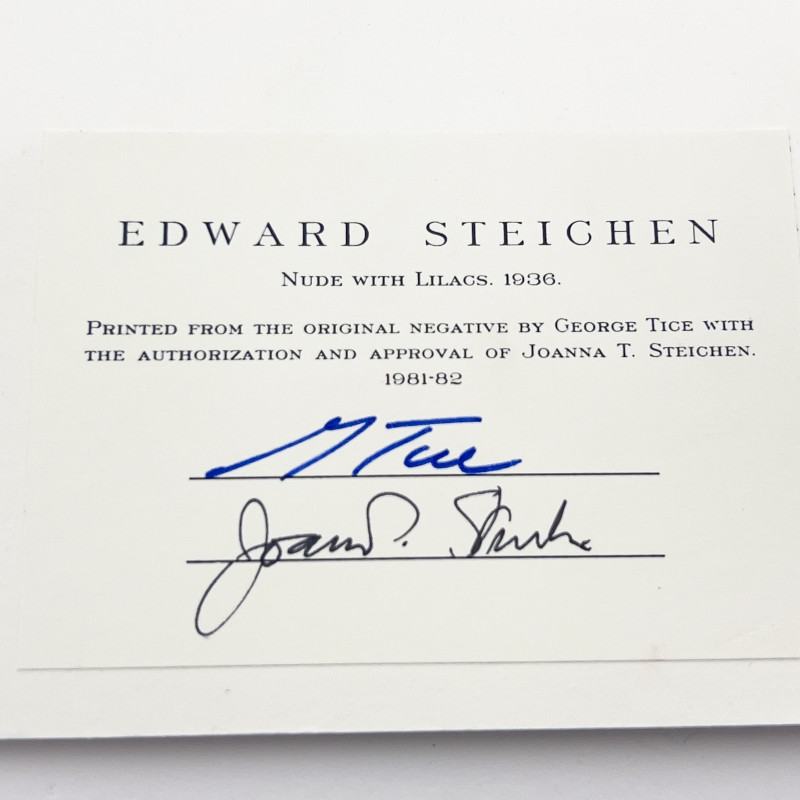 Edward Steichen - Nude with Lilacs