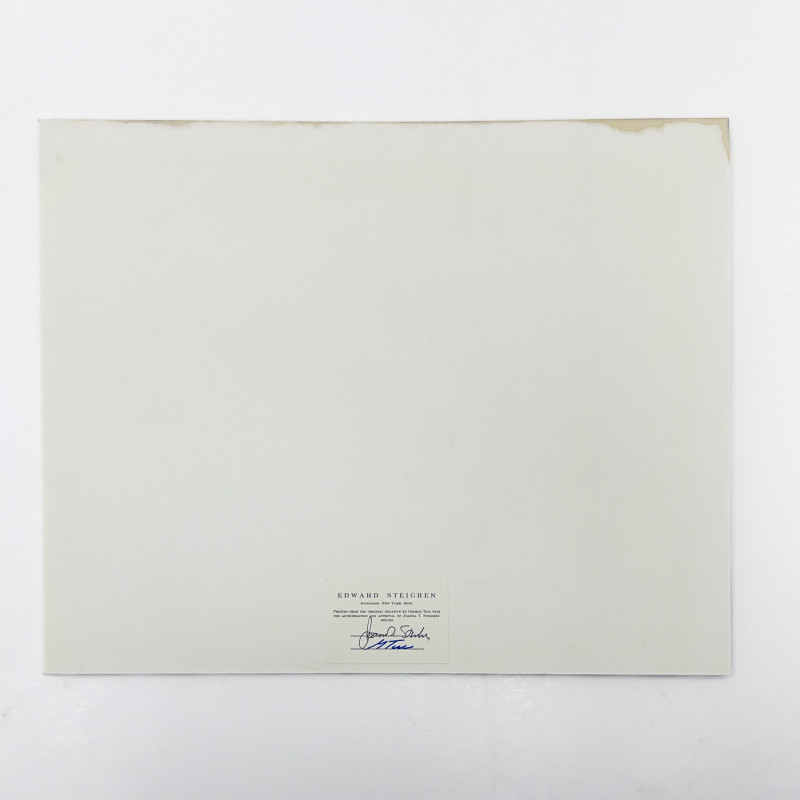 Edward Steichen - Avocados, New York