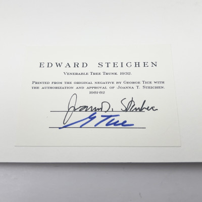 Edward Steichen - Venerable Tree Trunk