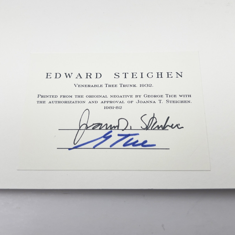 Edward Steichen - Venerable Tree Trunk