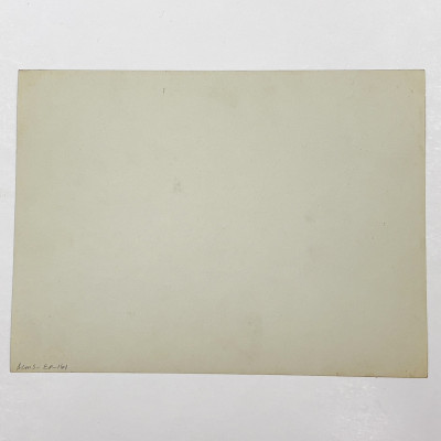 Erwin Blumenfeld - Untitled (Grasses)