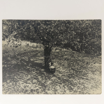 Ella Bergmann-Michel - Untitled (Girl Reading Under a Tree)