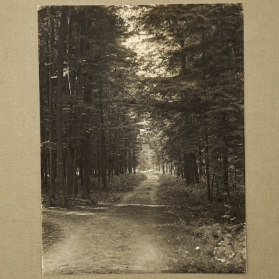 Image for Lot John G. Bullock - Untitled (Path in the Woods)