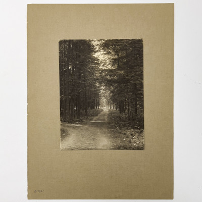 John G. Bullock - Untitled (Path in the Woods)