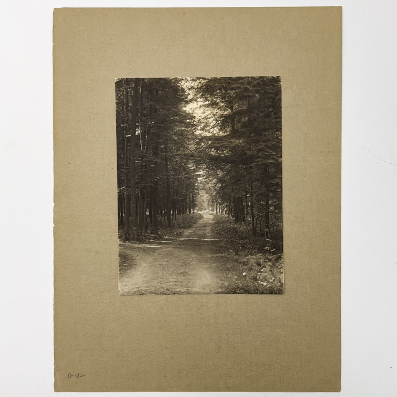 John G. Bullock - Untitled (Path in the Woods)