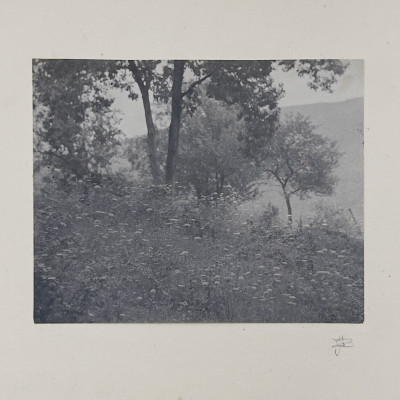 Image for Lot John G. Bullock - Untitled (Wooded Scene)