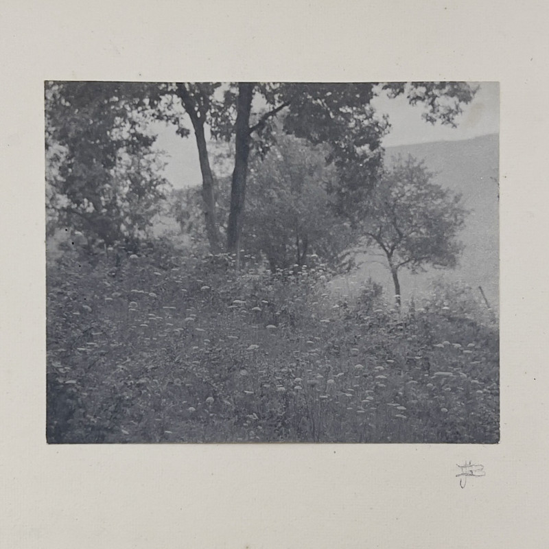 John G. Bullock - Untitled (Wooded Scene)