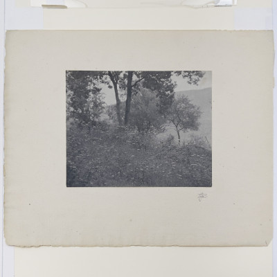 John G. Bullock - Untitled (Wooded Scene)