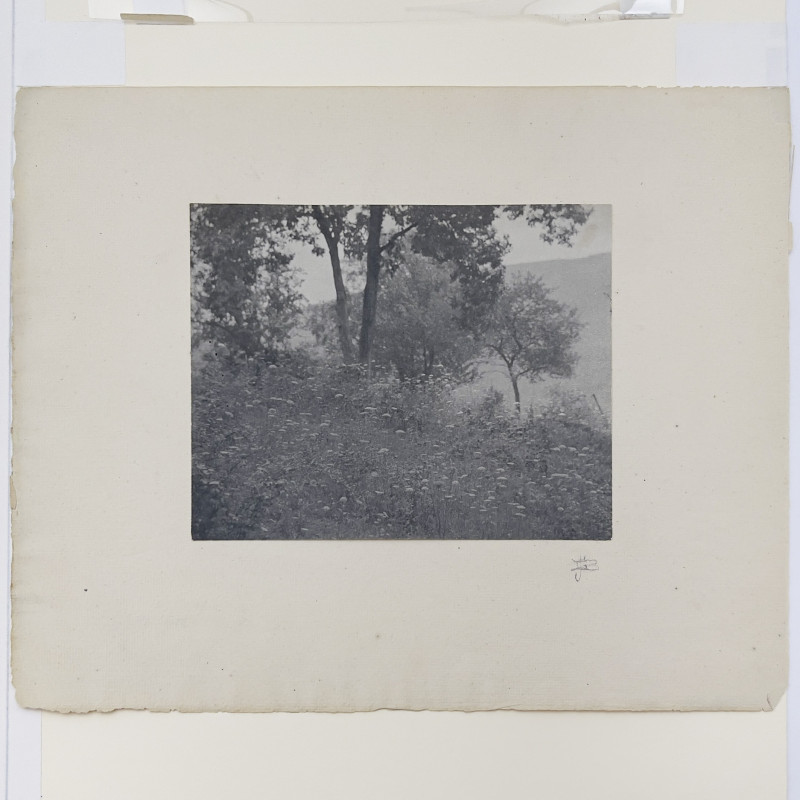 John G. Bullock - Untitled (Wooded Scene)