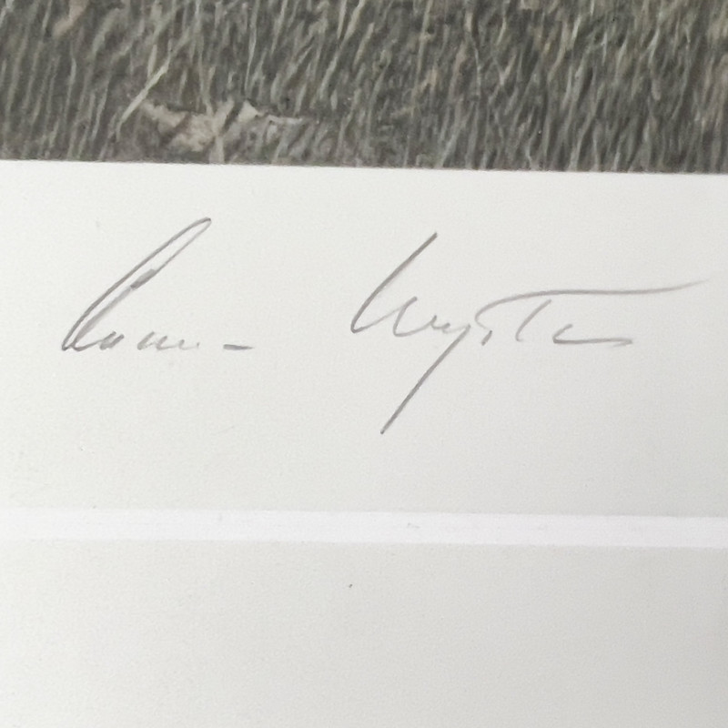 Andrew Wyeth - Jacklight