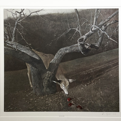 Andrew Wyeth - Jacklight