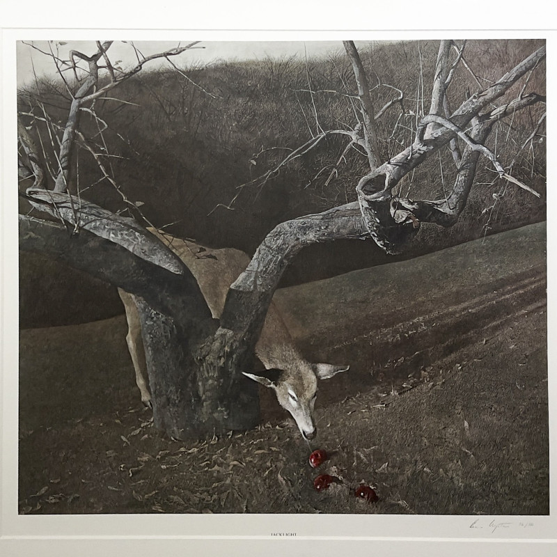 Andrew Wyeth - Jacklight