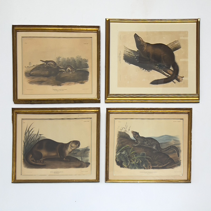 John James Audubon - Four American Mammals (4)