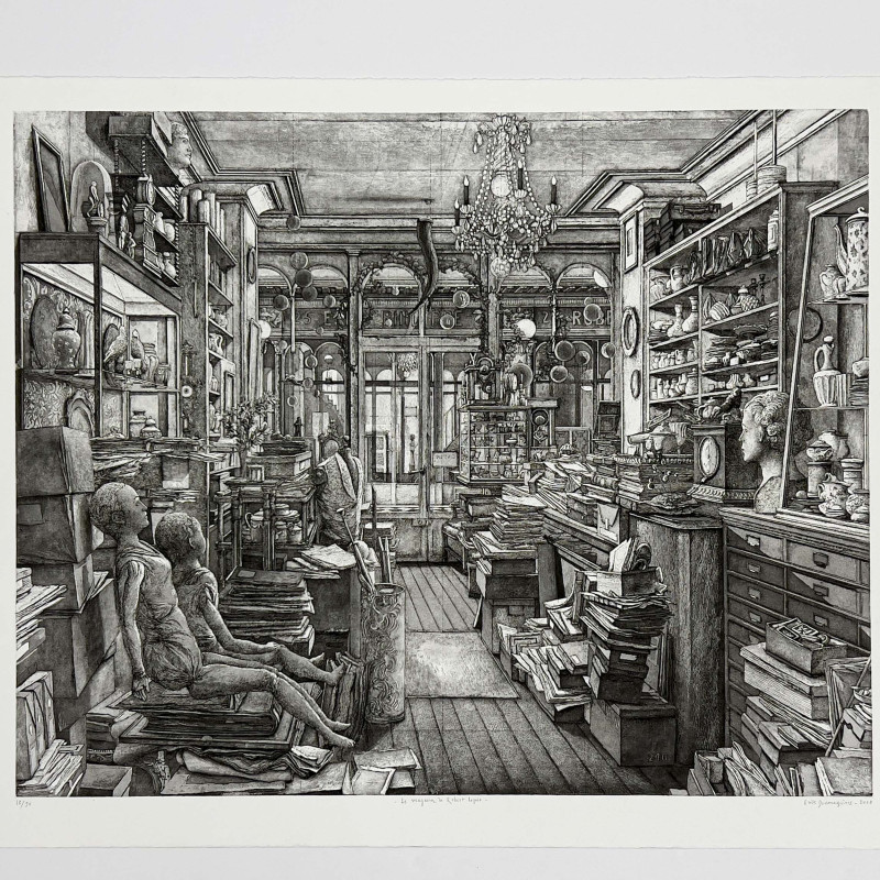 Erik Desmazières - Le Magasin de Robert Capia (F-F 205)