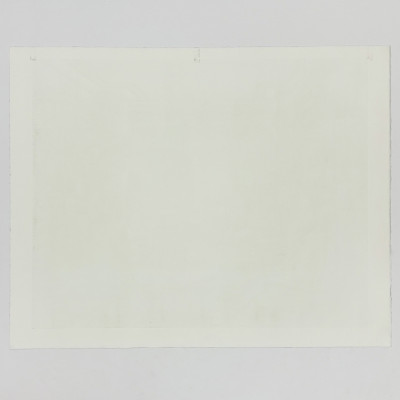 Erik Desmazières - Le Magasin de Robert Capia (F-F 205)