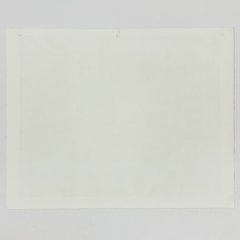 Erik Desmazières - Le Magasin de Robert Capia (F-F 205)