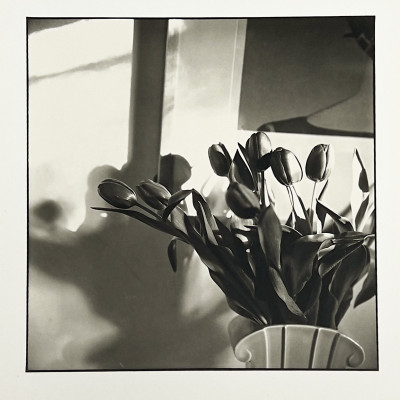 Image for Lot Bruce Cratsley - New Jersey Tulips