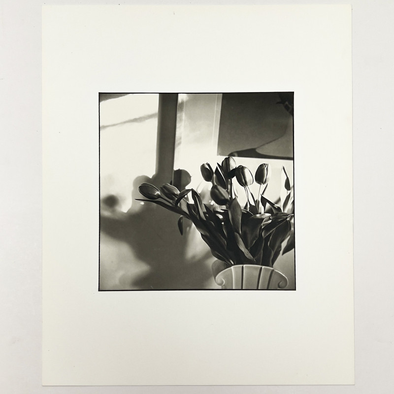 Bruce Cratsley - New Jersey Tulips