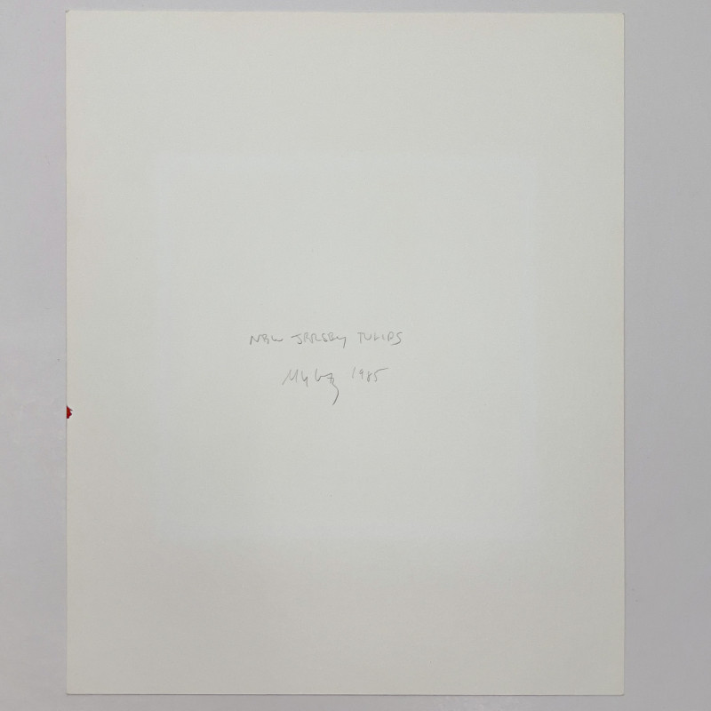 Bruce Cratsley - New Jersey Tulips