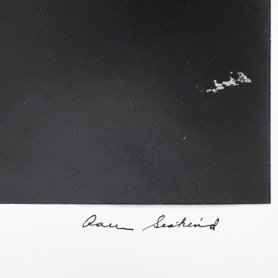 Aaron Siskind - Chicago