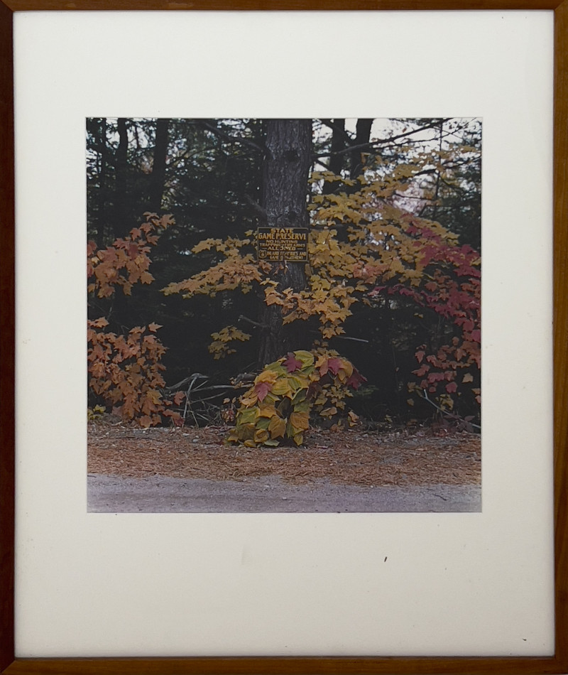 William Wegman - Rangeley, Maine