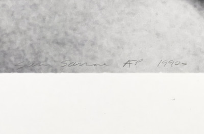 Sam Samore - Allegories of Beauty (Incomplete) #8