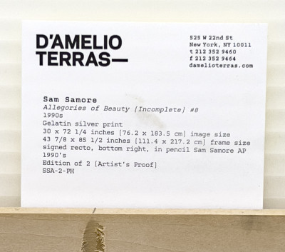 Sam Samore - Allegories of Beauty (Incomplete) #8