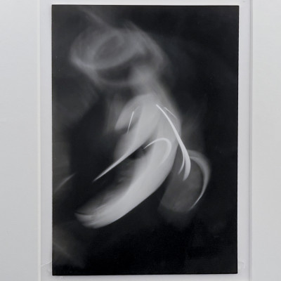 Edward Quigley - Functional Study