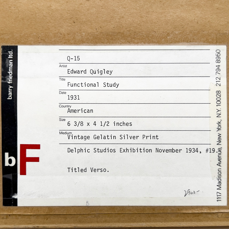 Edward Quigley - Functional Study